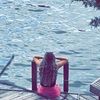 maddieb31